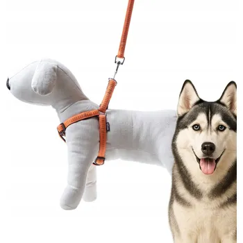 Vodítko pro psa Vodítko + postroj Soft Style Happet oranžové XL 2,5 cm