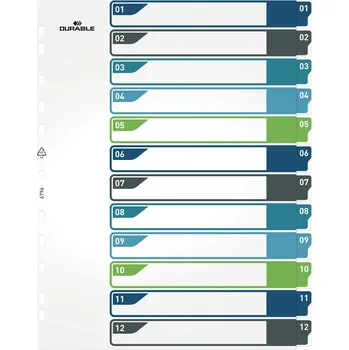 Archivační box Plastové rejstříky Durable popisovatelné na počítači A4 MAXI, 1-12 dělících listů