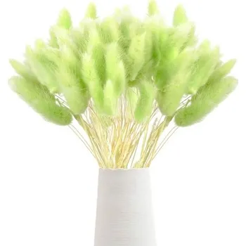 Sušená pampová tráva, 60 ks, přírodní kytice