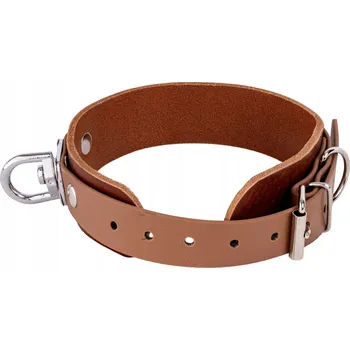 Obojek pro psa Obojek pro psa 4wild vel. L/XL