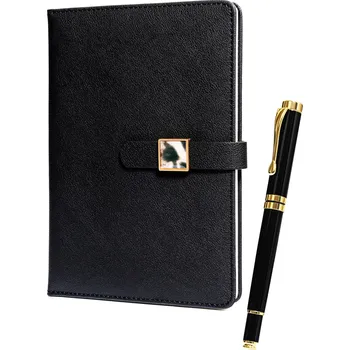 Diář Peterson Notes s propiskou Deleon černá One size