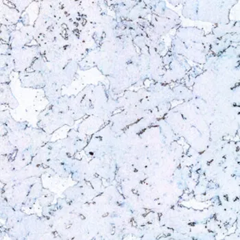 korkové podlahy Wicanders Fiord Exclusive obklad