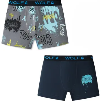 Chlapecké spodní prádlo Chlapecké trenkoslipy dvojpack Wolf L2582