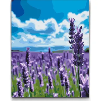 Malování podle čísel - Levandule na poli Velikost: 30x40cm, Rámování: Pouze srolované plátno