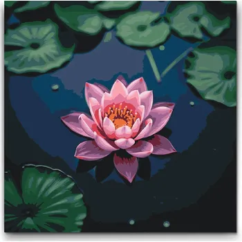 Malování podle čísel - Růžový lotosový květ Velikost: 50x50cm, Rámování: Pouze srolované plátno