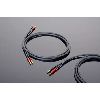 Audio kabel Transparent Hardwired Speaker Cable BB | 2x3m