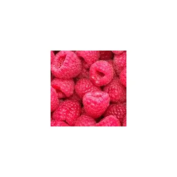 Sazenice Rubus idaeus Bohéme 20/30 cm