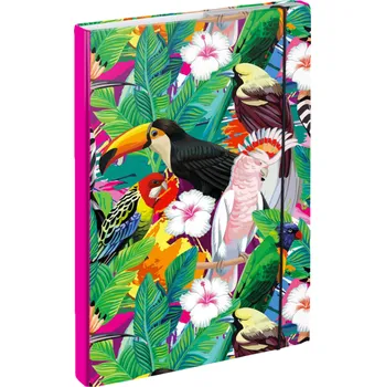 Školní batoh BAAGL Desky na školní sešity A4 Tukan + Sleva 5% s kódem AKCE5