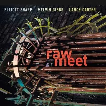 Zahraniční hudba CD Elliott Sharp: Raw Meet 2017