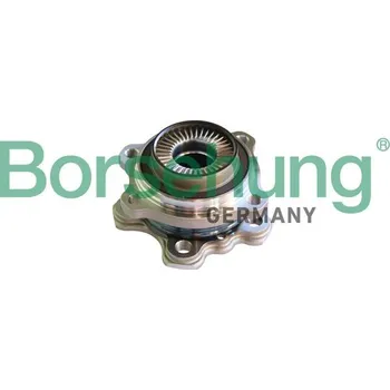 Sada ložisek kol Borsehung B11293