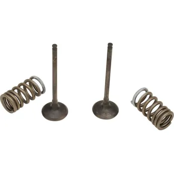 SADA VENTILŮ EX/PRUŽINA RM-Z250 28.SES3338-1