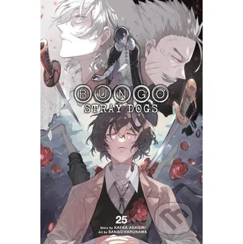 Komiks pro dospělé Bungo Stray Dogs 25 - Bianca Pistillo, Sango Harukawa (ilustrátor) Yen Press