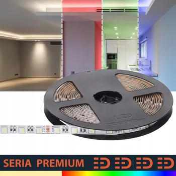 LED osvětlení LED pásek Premium 24V 60 LED/m 19.7W/m RGB+NW 4v1 SMD5050 - 5 let záruka