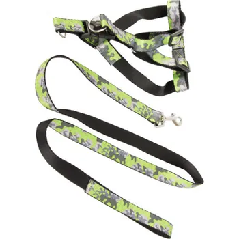 Vodítko pro psa Textilomanie Elmo 2 cm 124 cm šedý/zelený