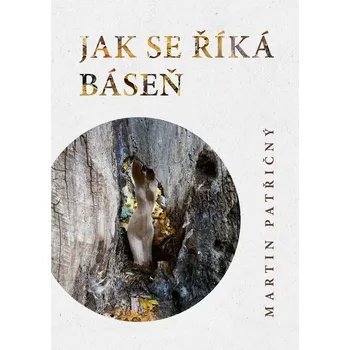 Kniha Jak se říká kniha