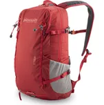 Batoh Pinguin Step 24L 2020 red