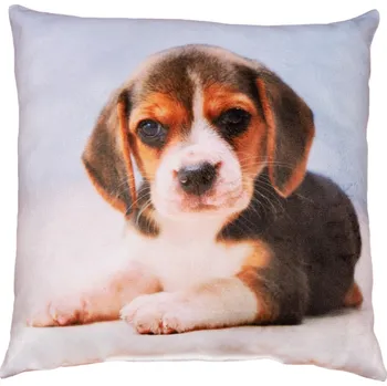 Dekorativní polštářek Dekorační polštářek Bígl, 25x25 cm