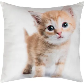 Dekorativní polštářek Dekorační polštářek Zrzavé kotě, 25x25 cm