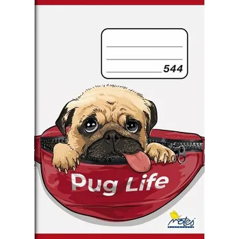 Sešit Sešit č. 544, A5, 40 listů, linkovaný