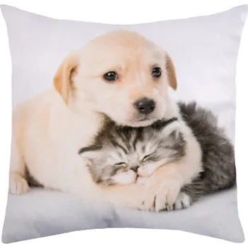 Dekorativní polštářek Dekorační polštářek Pejsek s kočičkou, 25x25 cm