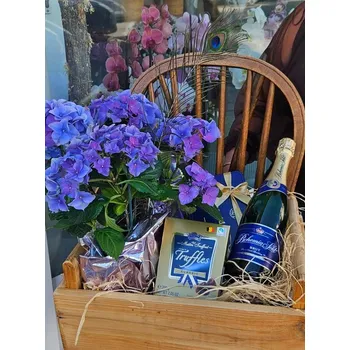 Dárkový potravinový koš Purpurový dárkový koš