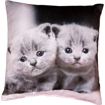 Dekorativní polštářek Dekorační polštářek Kočičky, 25x25 cm