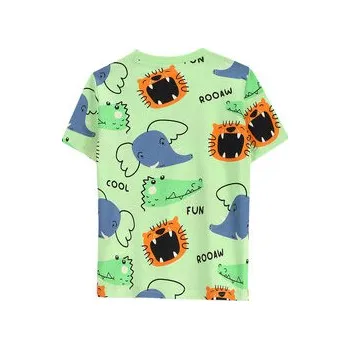 Pánské oblečení Coccodrillo T-Shirt WC5143208VBD Zelená Regular Fit 110