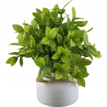 umělá květina Umělá rostlina v květináči 20 cm - Dekorativní, zelená, do domu i kanceláře