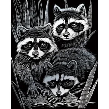 omalovánky Škrabací obrázek stříbrný - Mývalové