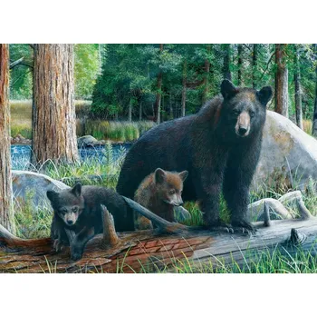 Puzzle EUROGRAPHICS Nové objevy 1000 dílků