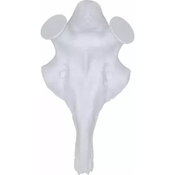 E-myslivost Lebka jelena na parohy - shozy