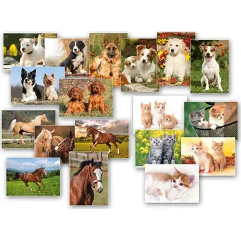 MFP 1230310 pohlednice zvířata mix motivů