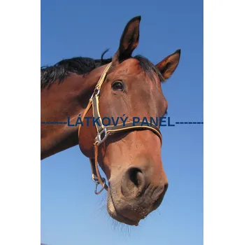 Panel kočárkovina - KN-45