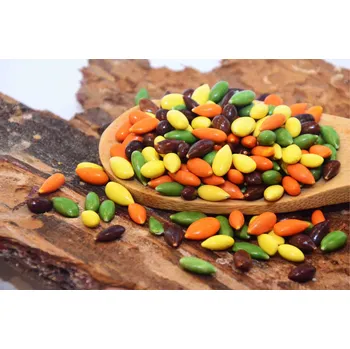 SLUNEČNICE V BAREVNÉ ČOKOLÁDĚ 200g