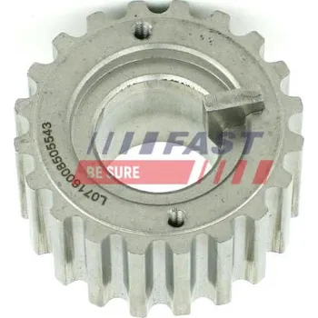Rozvod motoru Ozubené kolo, vyrovnávací hřídel FAST FT45604