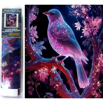 Diamantové malování Norimpex Noční pták 30 × 40 cm