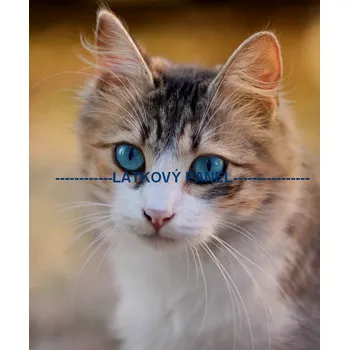 Panel kočárkovina - KČ-26