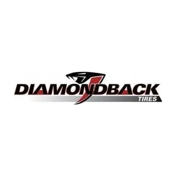 Letní osobní pneu Letní pneumatika Diamondback TR928 215/65 R15 100 H zesílená (XL)