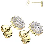 Steel Edge Titanové náušnice se zirkony SET23R14 Barva: Zlatá