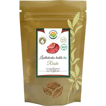 Přírodní produkt Salvia Paradise Lesklokorka lesklá - reishi prášek BIO 100 g
