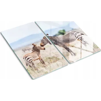 Obraz Krájecí deska za sklem Zebry v horách 2x30x52