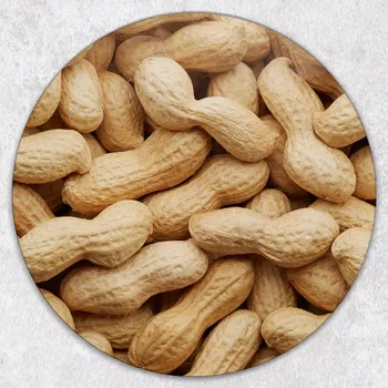 Kuchyňské prkénko Dekorativní Kulaté Skleněné Krájecí Prkénko Do Kuchyně Arašídy průměr 40 cm