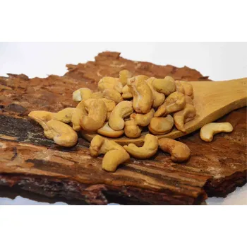 Sušená potravina KEŠU PRAŽENÉ SOLENÉ 200g