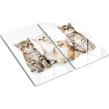 Obraz Krájecí deska s grafikou pod sklem Kočky 2x30x52