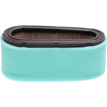 Auto-moto Briggs & Stratton 04-01009