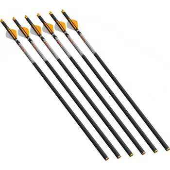 Příslušenství pro luk a kuši šípy pro kuše RAVIN CROSSBOWS .001 R500 Series Arrows - 400 Grain - Carbonbolzen - 6 Stück