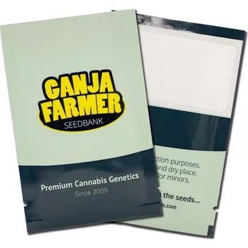 Semeno Critical 2.0 AUTO – samonakvétací semena | Ganja Farmer Seeds Počet semen: 1