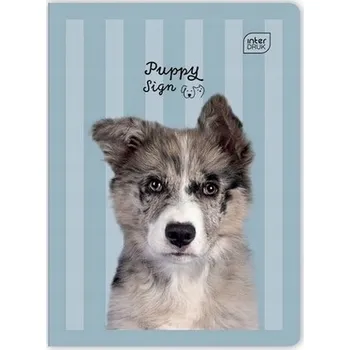 Sešit Sešit A5 s linkami Interdruk, 32 listů