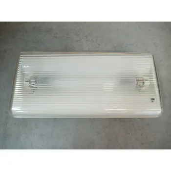 Nouzové osvětlení Schneider Electric Nouzové osvětlení světlo "nouzák" Schneider OVA37027 Rilux 6/1 NC 6W IP40 1,2Ah