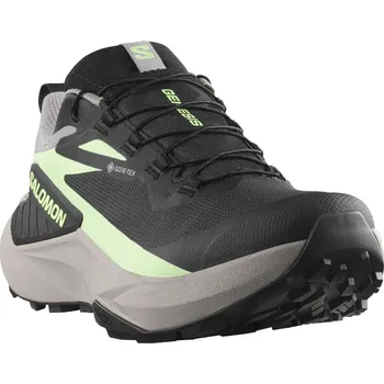 Dámská běžecká obuv Salomon Genesis GTX W L47862800 - black/gull patina/green 40 2/3